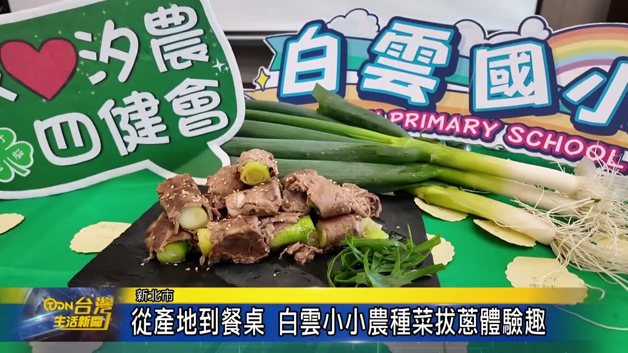 從產地到餐桌 白雲小小農種菜拔蔥體驗趣