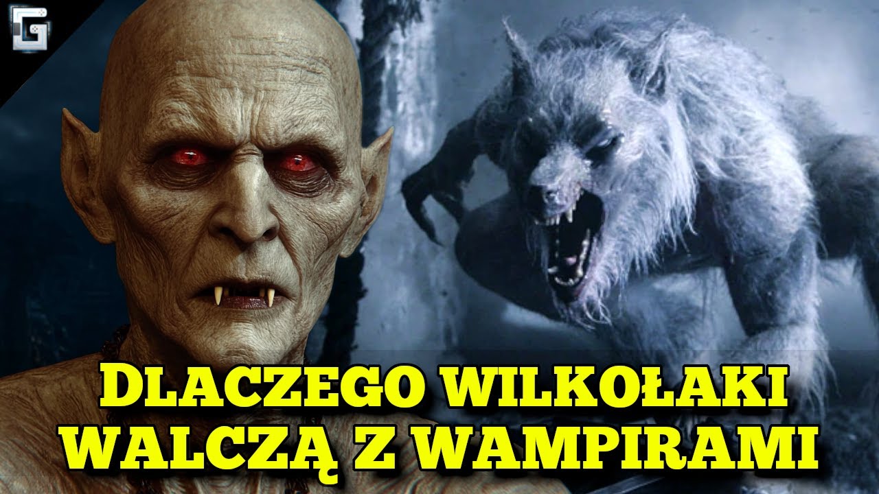 Dlaczego Wilkołaki Walczą z Wampirami?