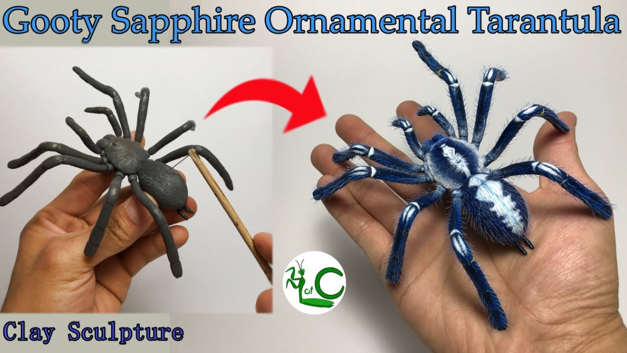 Скульптура декоративного тарантула Гути Сапфир (Poecilotheria metallica)_Жизнь из глины