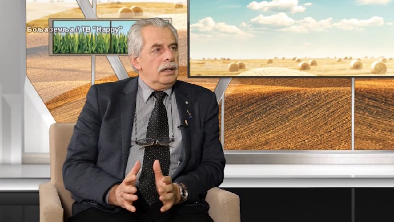 Pravi savet kako da razvijete pcelinje drustvo i prihranjujete pcele na prolece