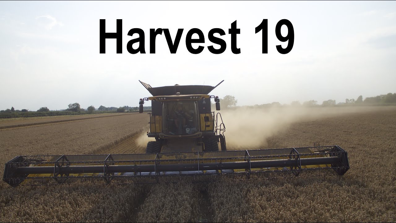 UK Harvest 19 | H R Bourn & Sons | Wragby, Lincolnshire