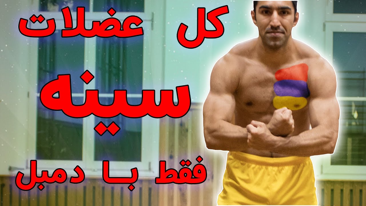 بدنسازی فقط  دمبل در خانه( توضیح تمرینات سینه 2024)