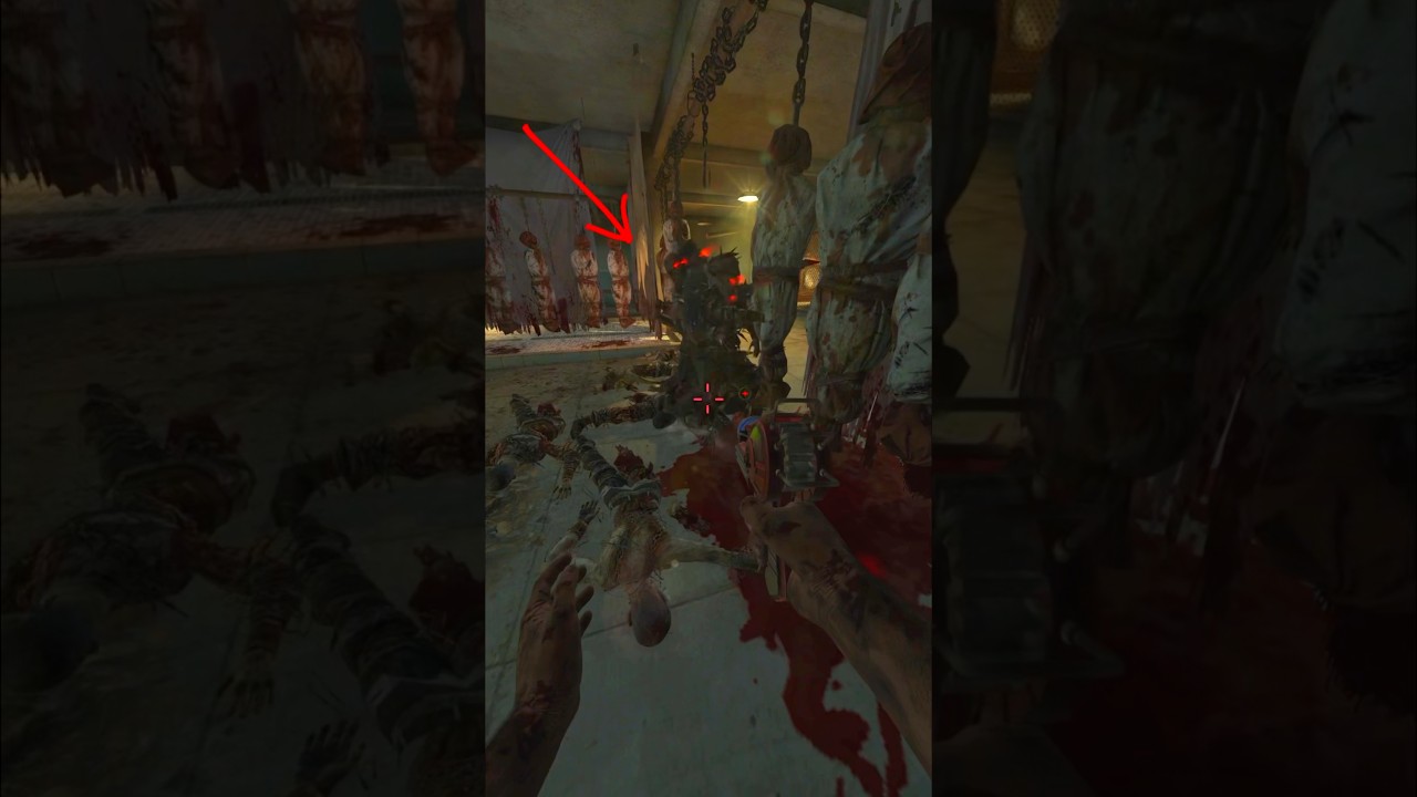 EASIEST AFK GLITCH IN BLACK OPS 2 ZOMBIES 😳