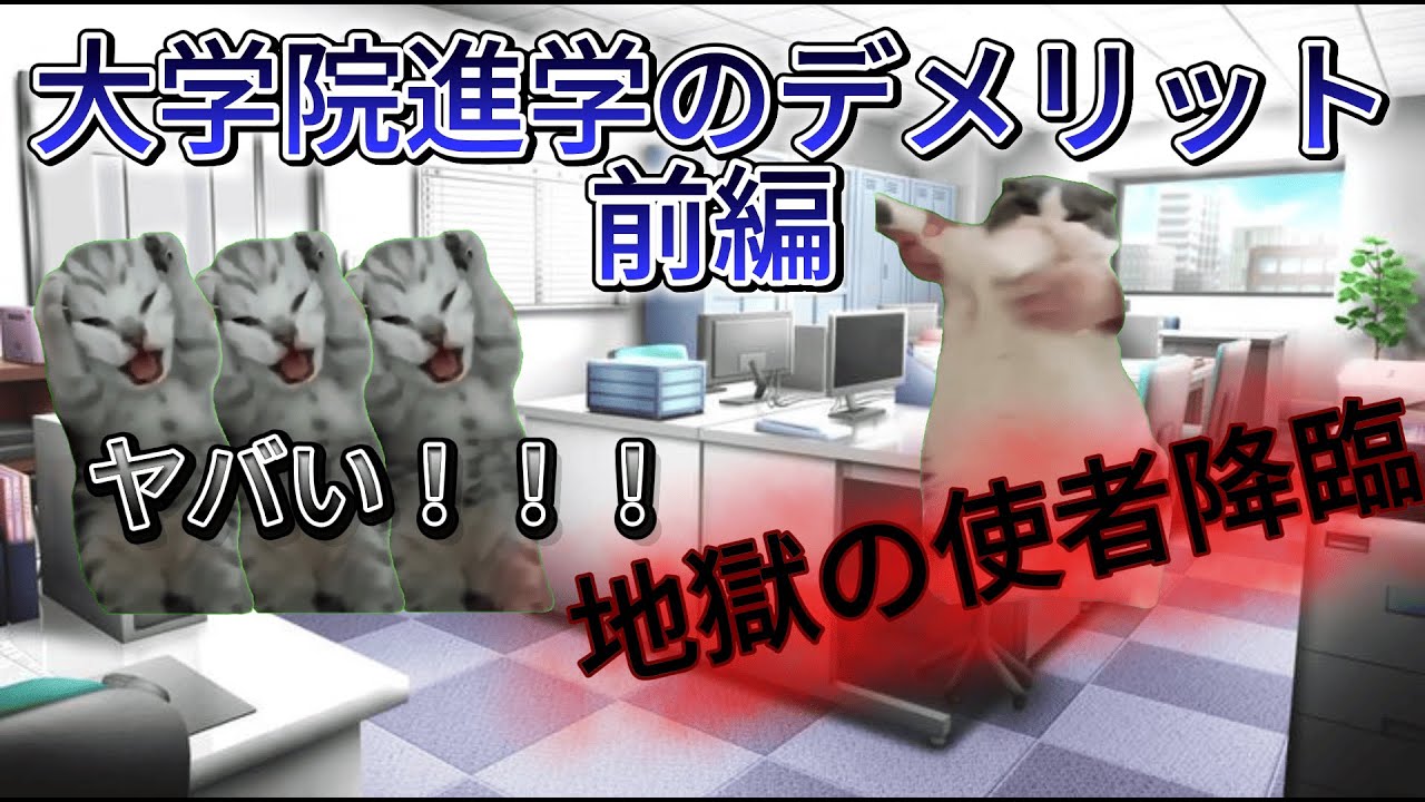 【現実】【猫ミーム】何も考えずに大学院行くと後悔するかも？大学院に進学するデメリット前編