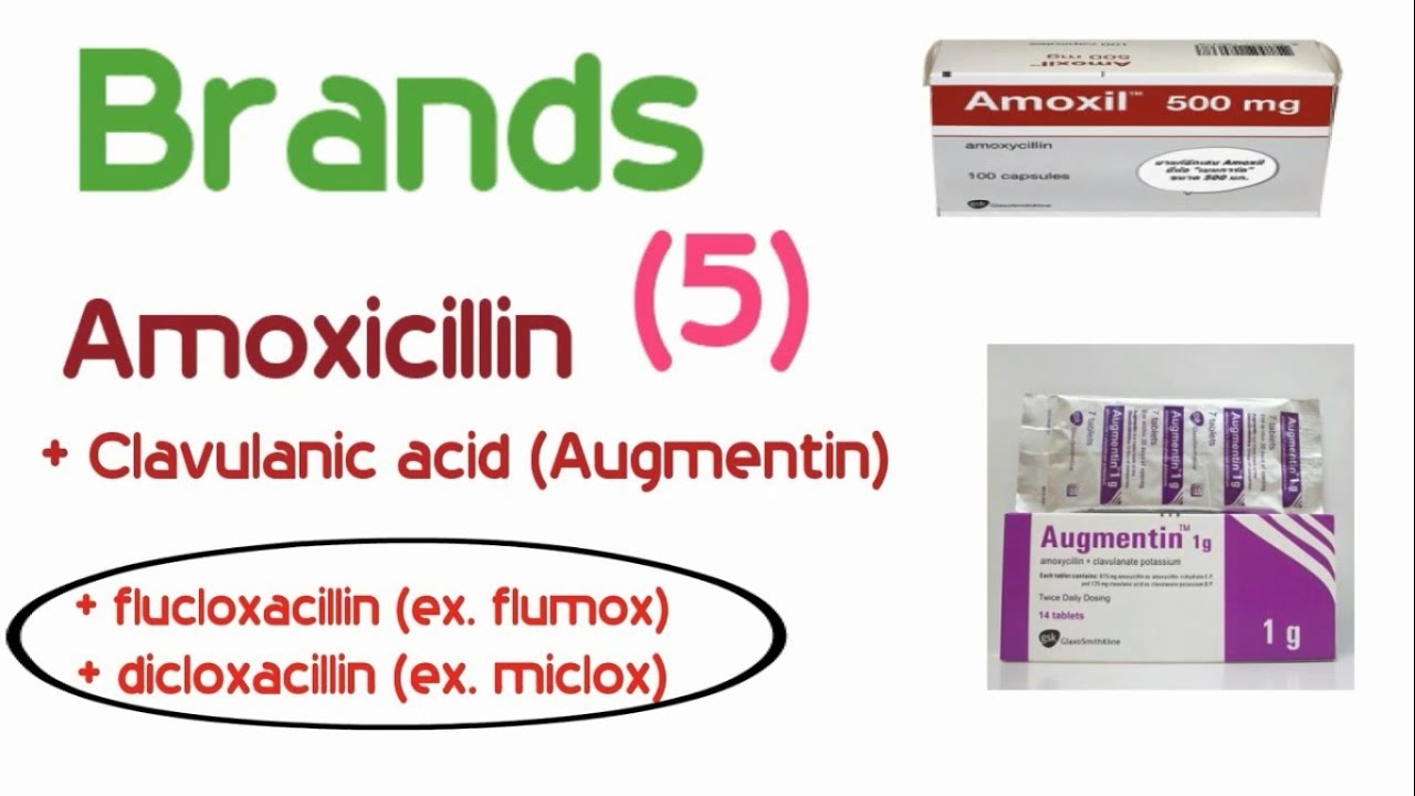 الحلقة الخامسة من سلسلة براندات الادوية - amoxil- augmentin- الاجزاخنجي