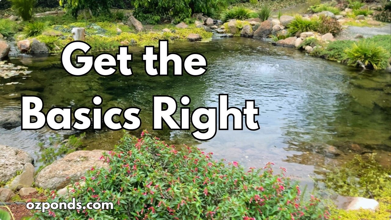 Beginner&rsquo;s Guide to a low maintenance pond