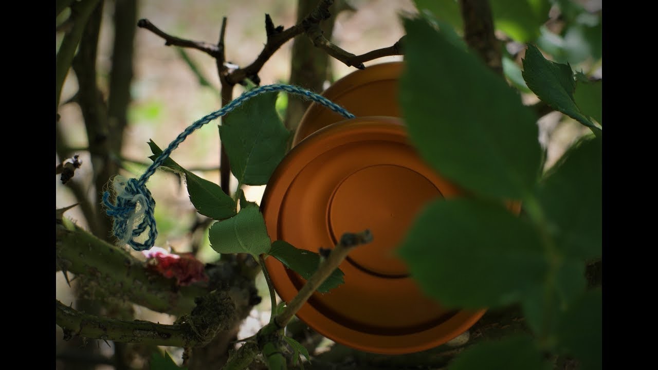 Sinister Yoyos Presents The SF Yoyos And One Drop SK Review