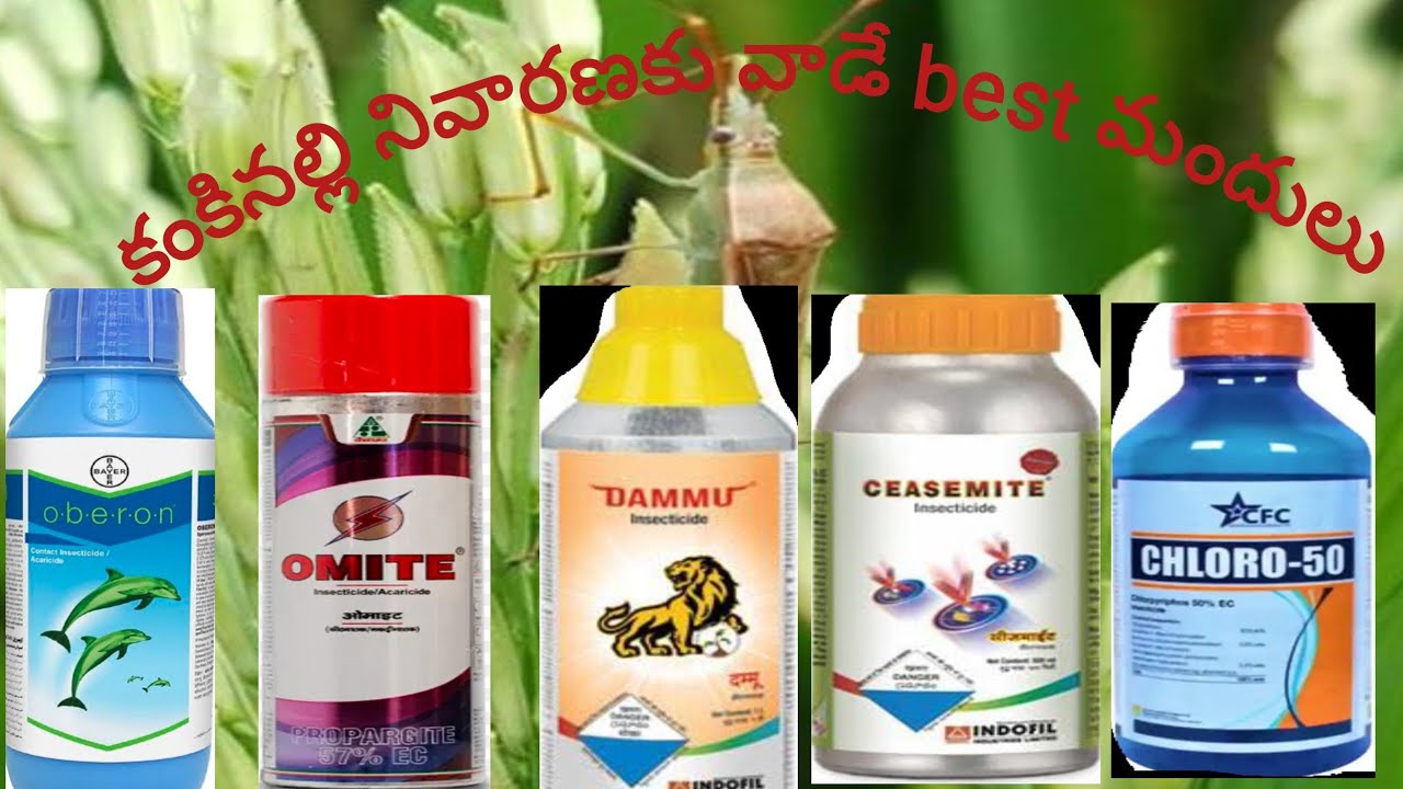 కంకినల్లి నియంత్రణకు వాడే the best insecticides/acaricides