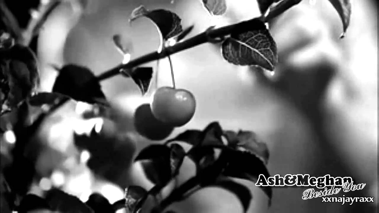 Meghan and Ash [The Iron Fey]