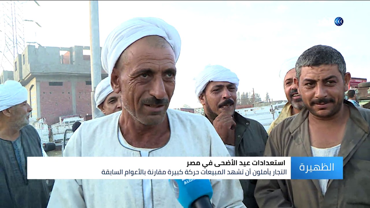 انخفاض أسعار الأضاحي.. شاهد استعدادات عيد الأضحى في مصر