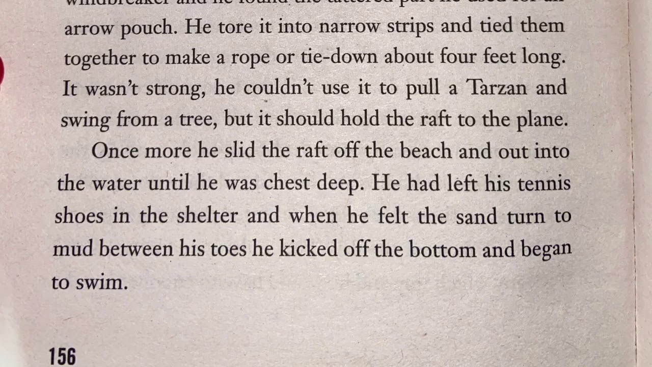 Hatchet Chapter 17