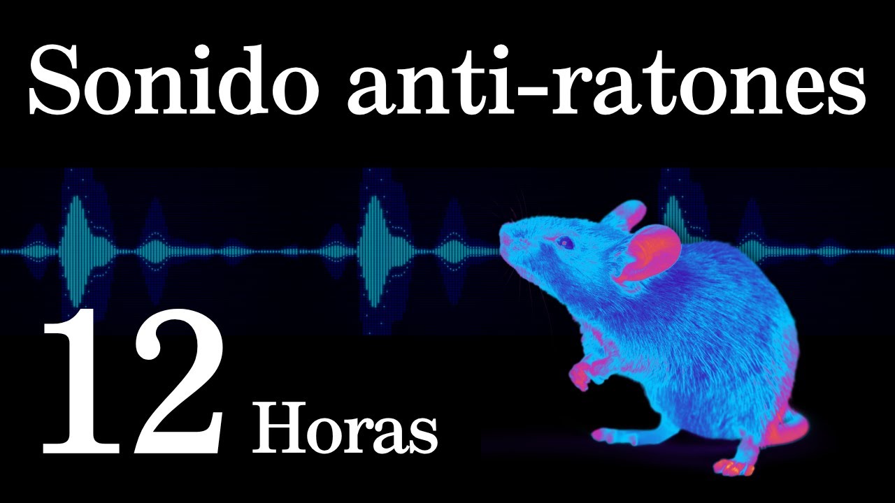 Sonido para ahuyentar ratas y ratones | Ultrasonido para dormir tranquilo sin ratones | 12 Horas