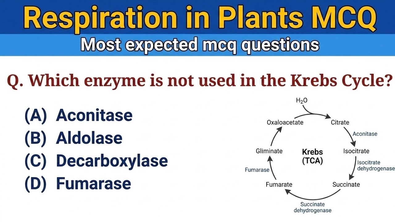 Respiration in Plants MCQ | Biology MCQ 2025 | NEET MCQ | Class 11 Biology