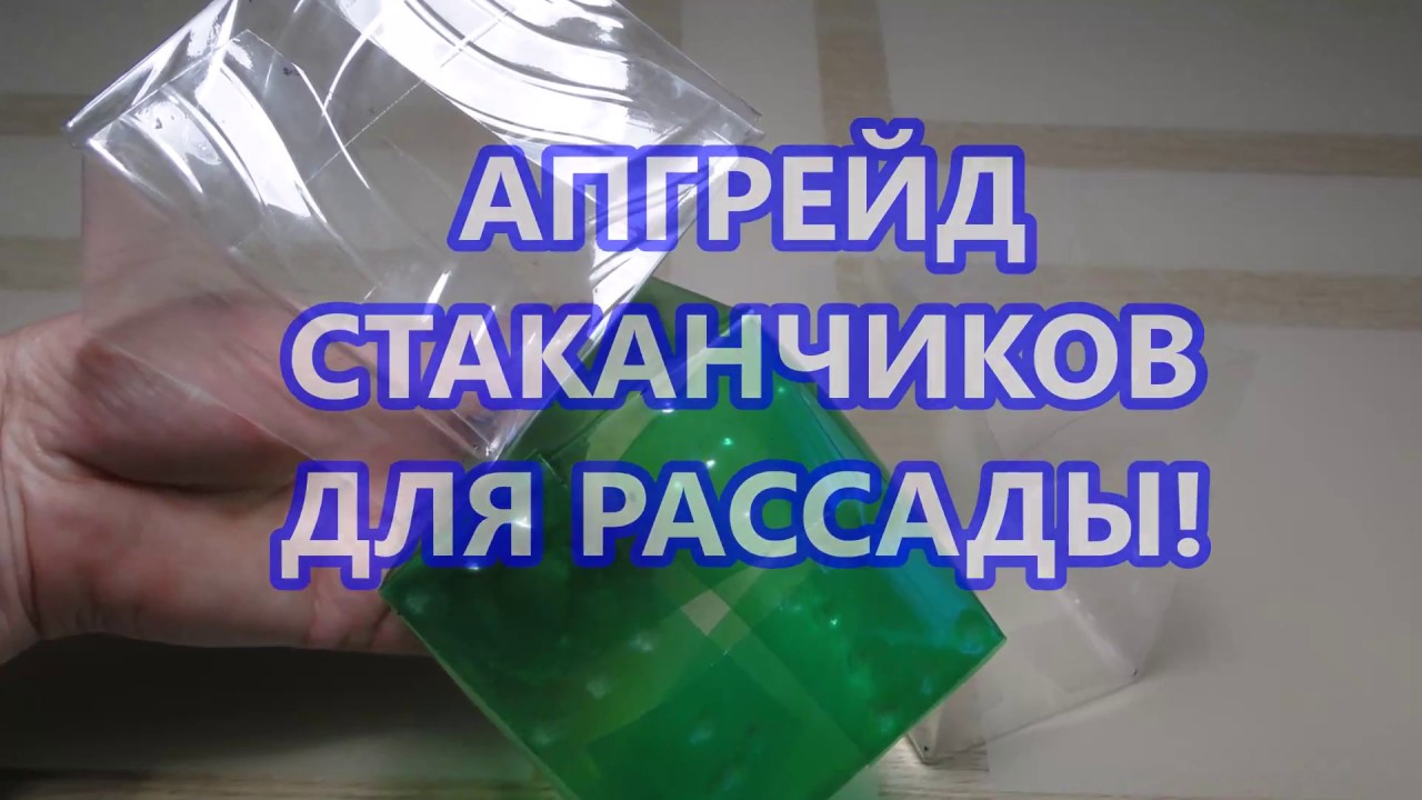 АПГРЕЙД СТАКАНЧИКОВ ДЛЯ РАССАДЫ!  КАК СДЕЛАТЬ ДНО У СТАКАНЧИКА