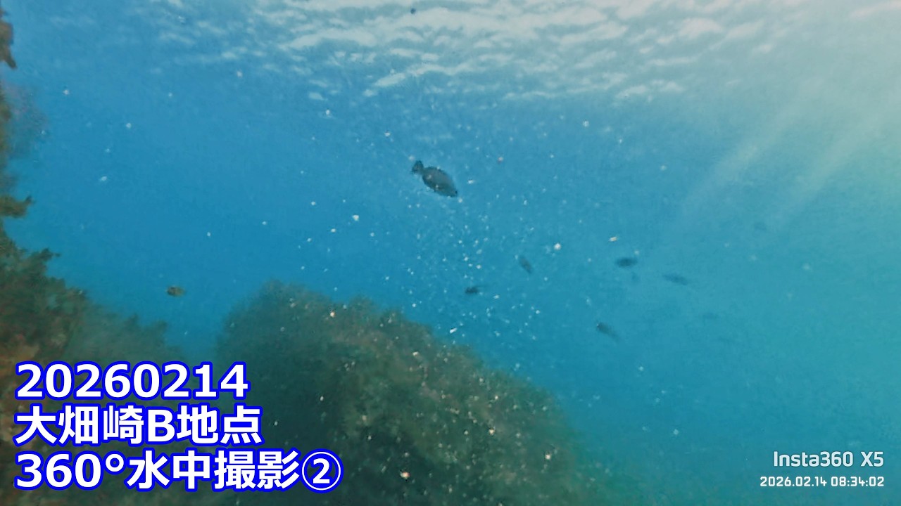 20260214X5②大畑崎B地点360°水中撮影(07:56:51～09:38:43)チャプター付き