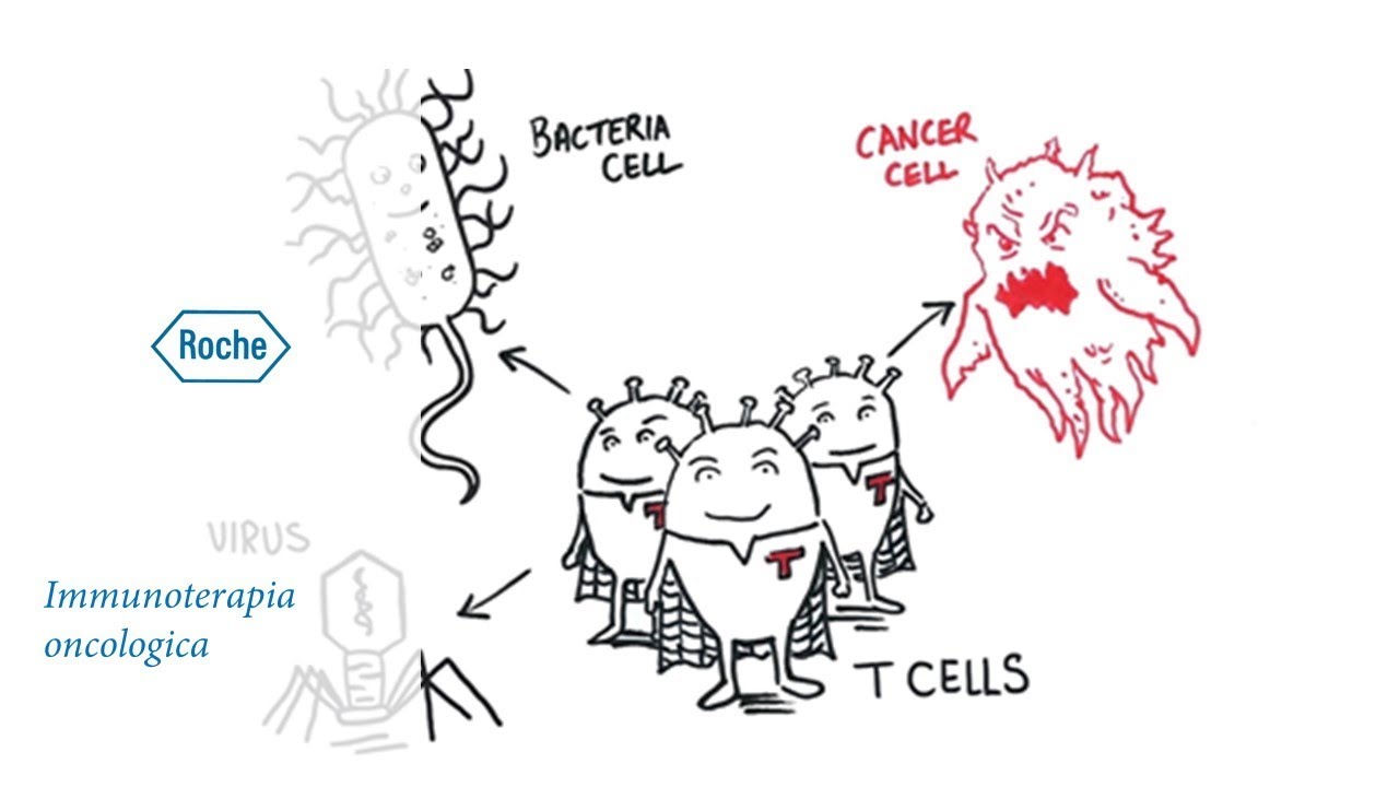 Scatenare l’esercito delle Cellule T