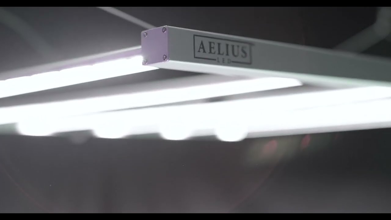 Aelius LED Matrx 630F