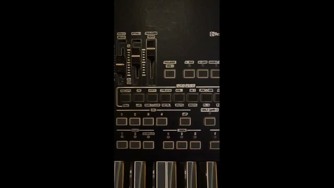 KORG PA 500