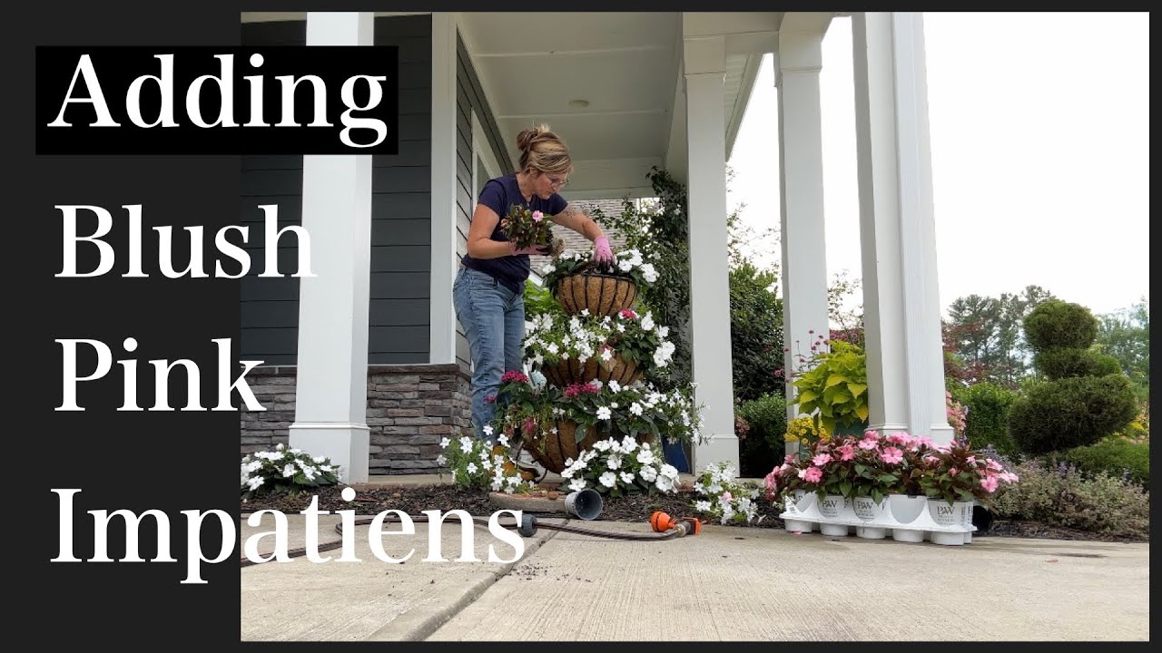 Adding Compact Plush Pink and Compact White Impatiens to the Three Tiered Cascade Planter