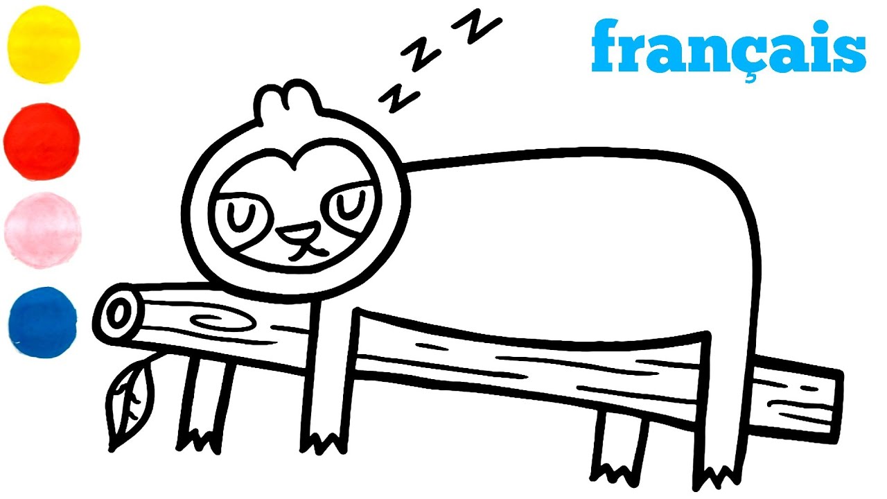 Comment dessiner et colorier un paresseux endormi pour les enfants
