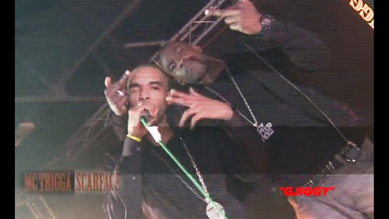 Trigga's Birthday Bash 2010 DVD