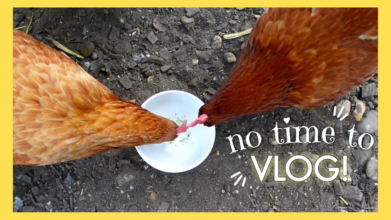 Books & Running Around 💛 Daily Vlogs 6 of 7