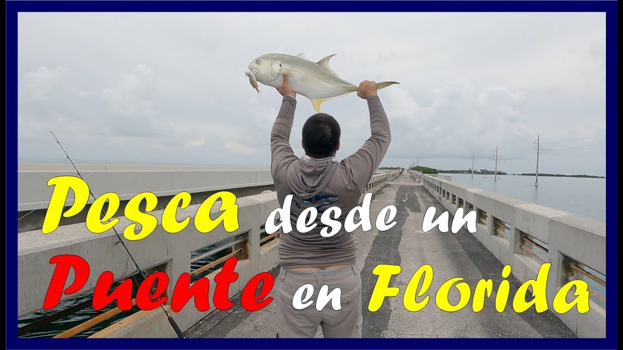 🌞Como Pescar en los Puentes de la Florida con Carnada Viva🌞