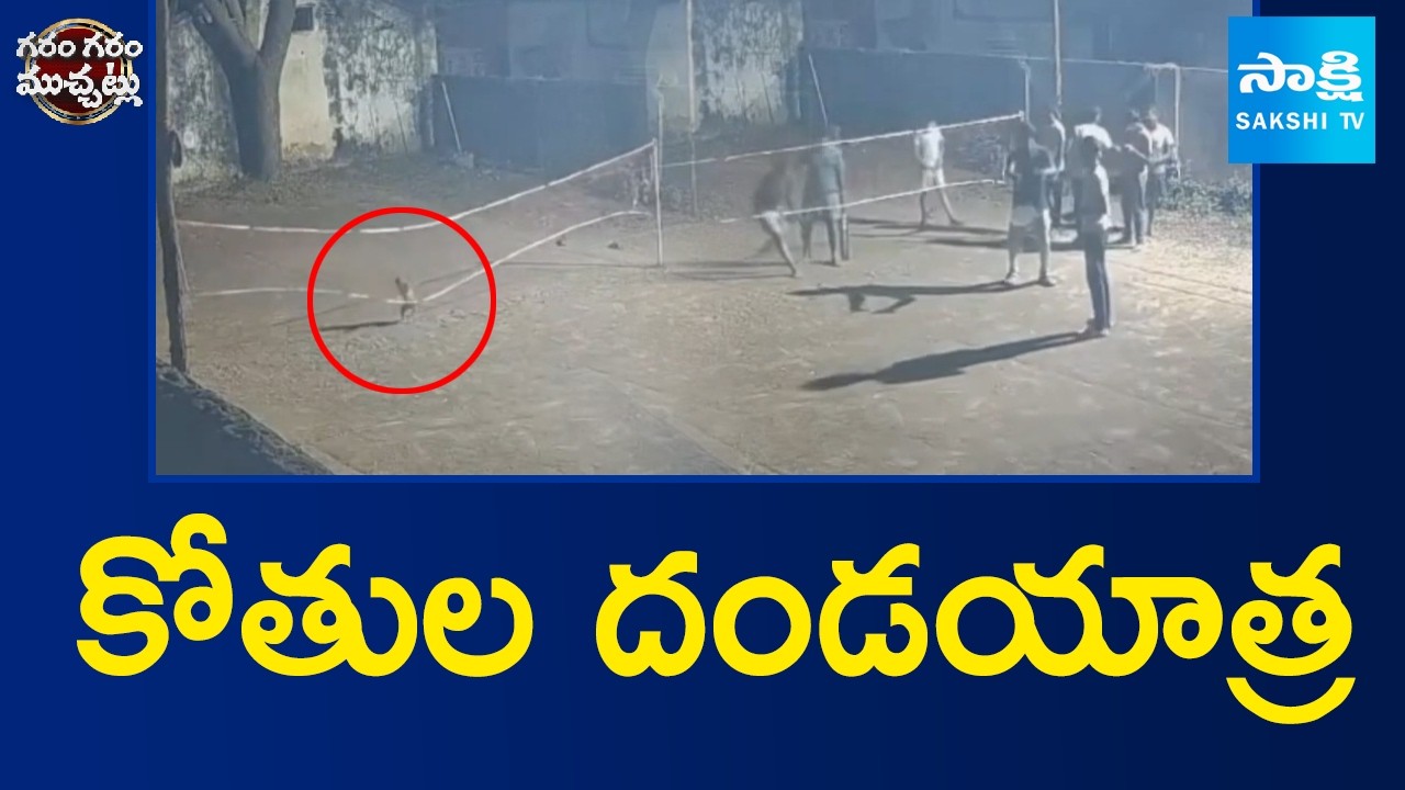 కోతుల దండయాత్ర: Monkey Group Attacks On Students | Garam Garam Varthalu | @SakshiTV