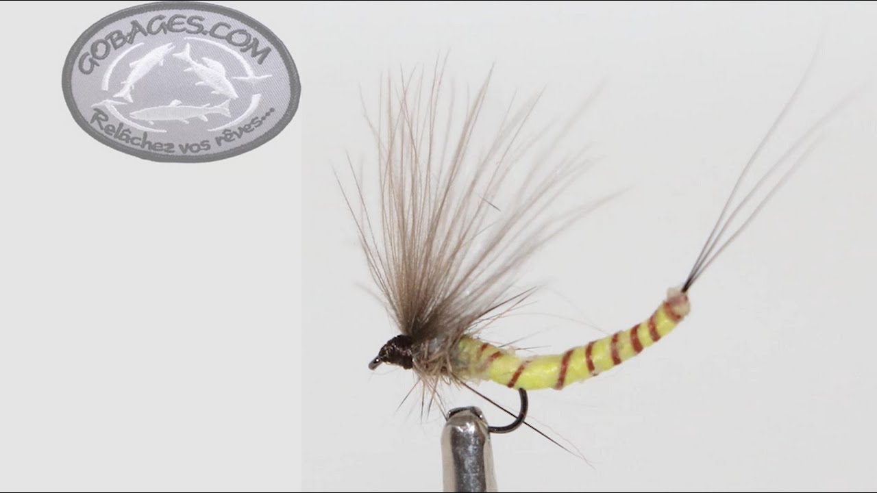 Montage d'une mouche de mai corps détaché en latex