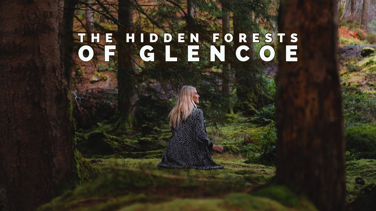 The Hidden Forests of Glencoe | Scotland