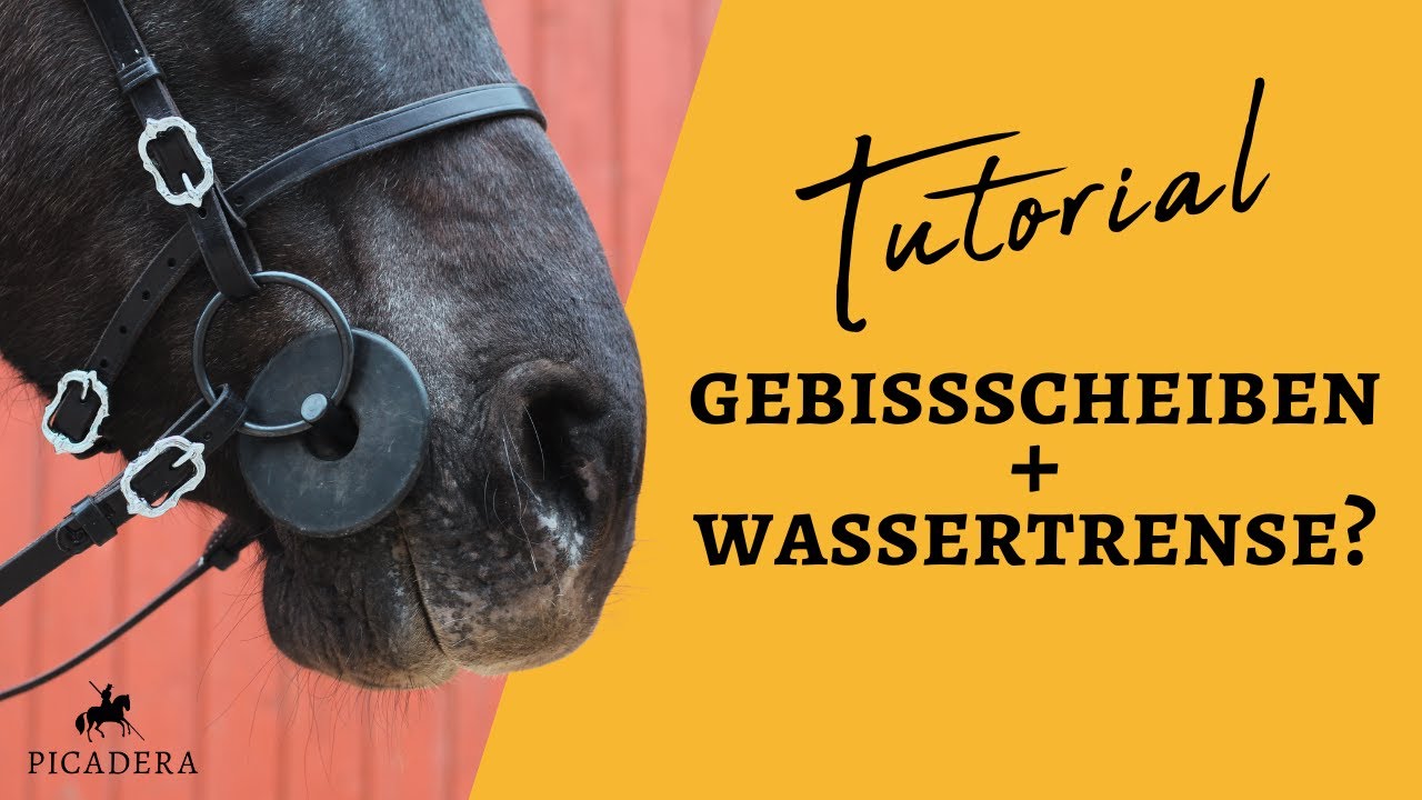 Gebissscheiben an der Wassertrense anbringen - so klappt's