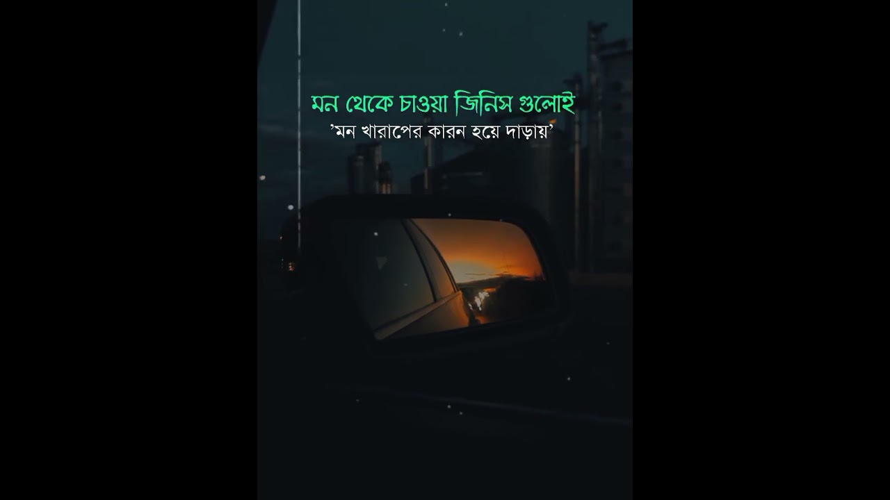 sed status video 