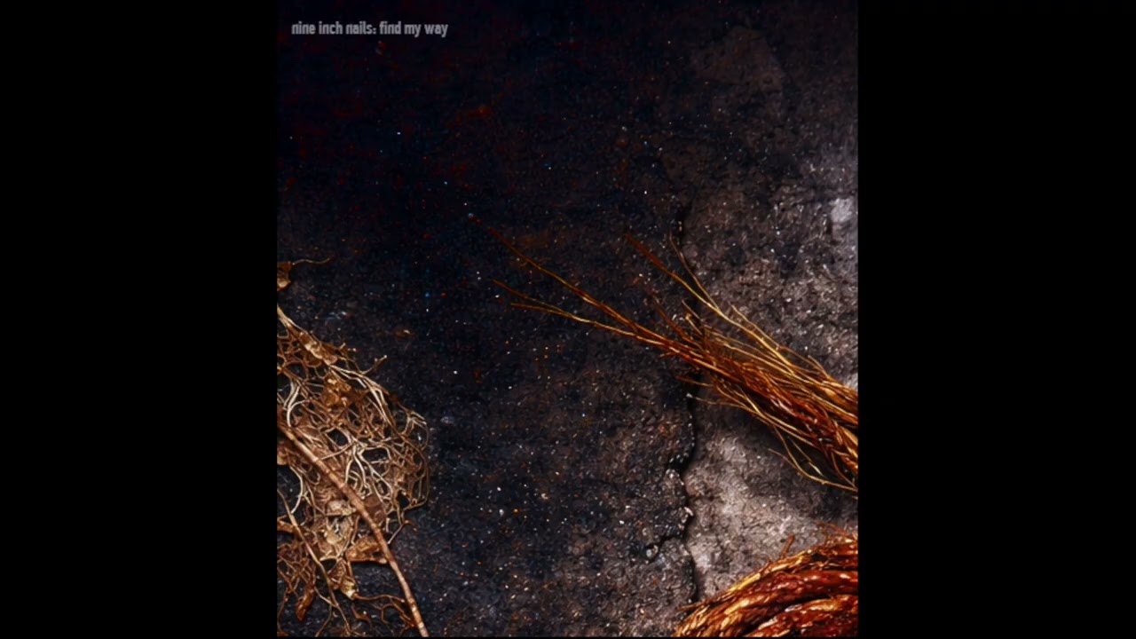 Nine Inch Nails - Find My Way - The Downward Spiral Version