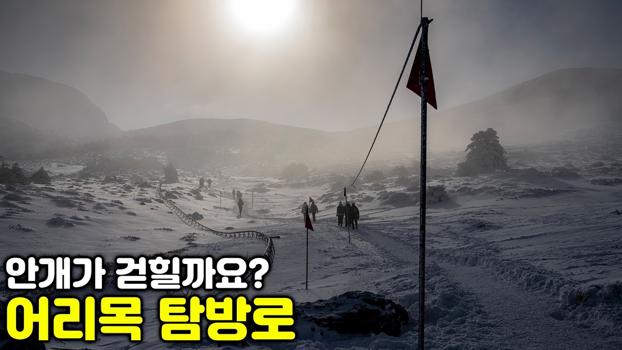 또 가고 싶은 1월의 어리목탐방로 | 한라산 윗세오름 남벽분기점