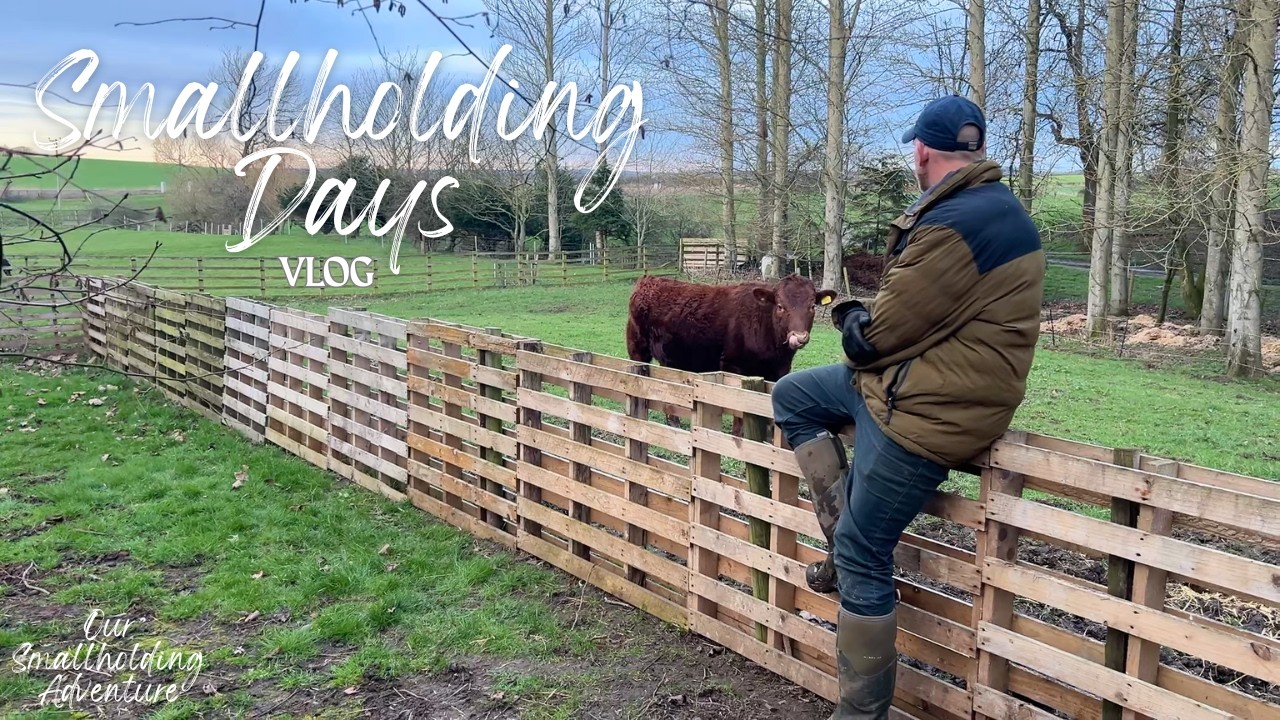 One Job Turns into Ten | Smallholding Life in Late Winter