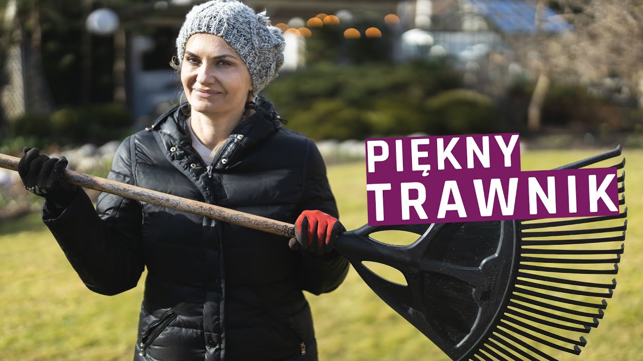 Pielęgnacja trawnika wiosną - wertykulacja, nawożenie, przycinanie brzegów trawnika, zwalczanie mchu