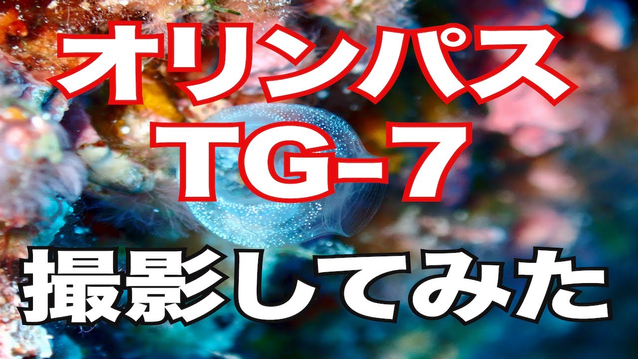 【オリンパスTG-7を解説】熱烈先生のダイビング講座　第194講