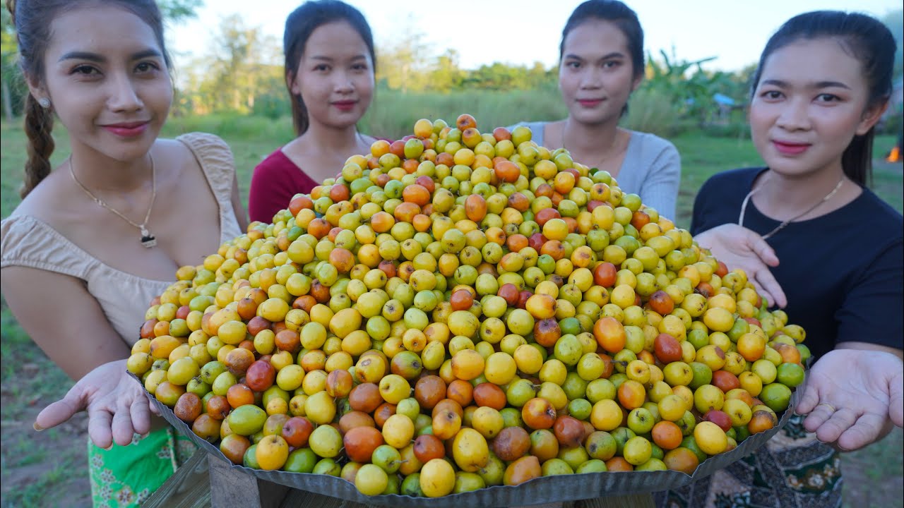 Fresh jujube fruit pick and eat delicious with chili salt - Amazing video