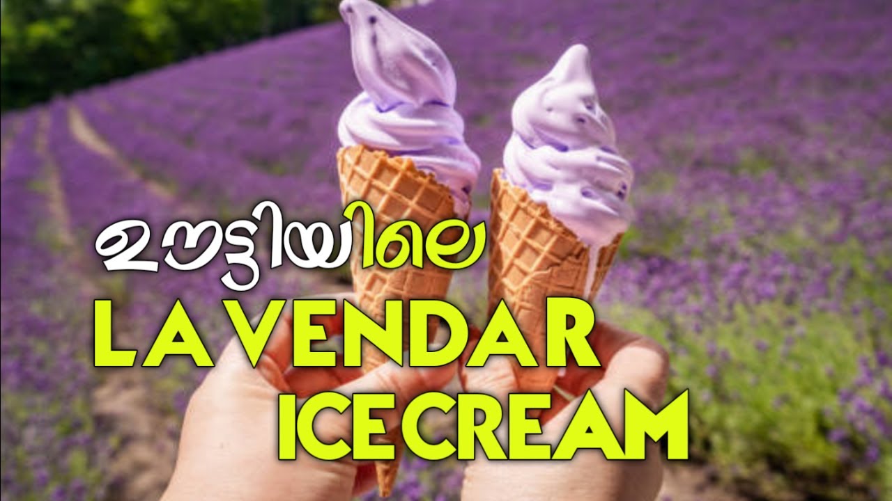 OOTTY'S LAVENDAR ICE CREAM❗|Foodie Sha|