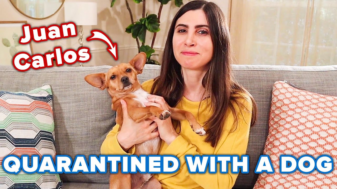 People Share How Their Dogs Are Helping Them During Quarantine // Presented By CESAR&reg;