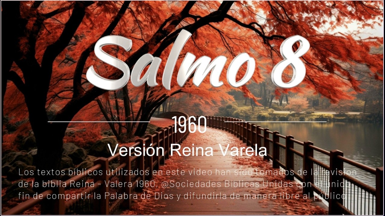 SALMO 8 - La Gloria De Dios y El Valor Del Hombre