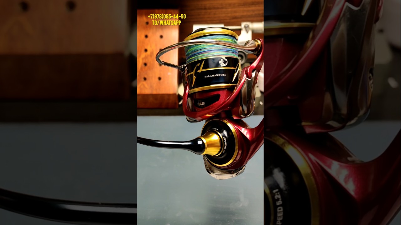 Daiwa Salamandura Air LT2500 #daiwa #fishing #shimano #рыбалка