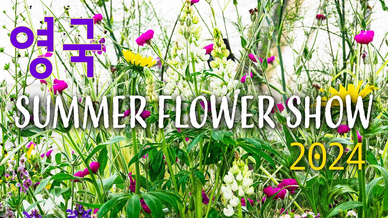 HAMPTON COURT FLOWER SHOW🌷안 보면 후회하는 영국 플라워 쇼🌷# 여름 정원에 어울리는 꽃 종류🌷영국 가든