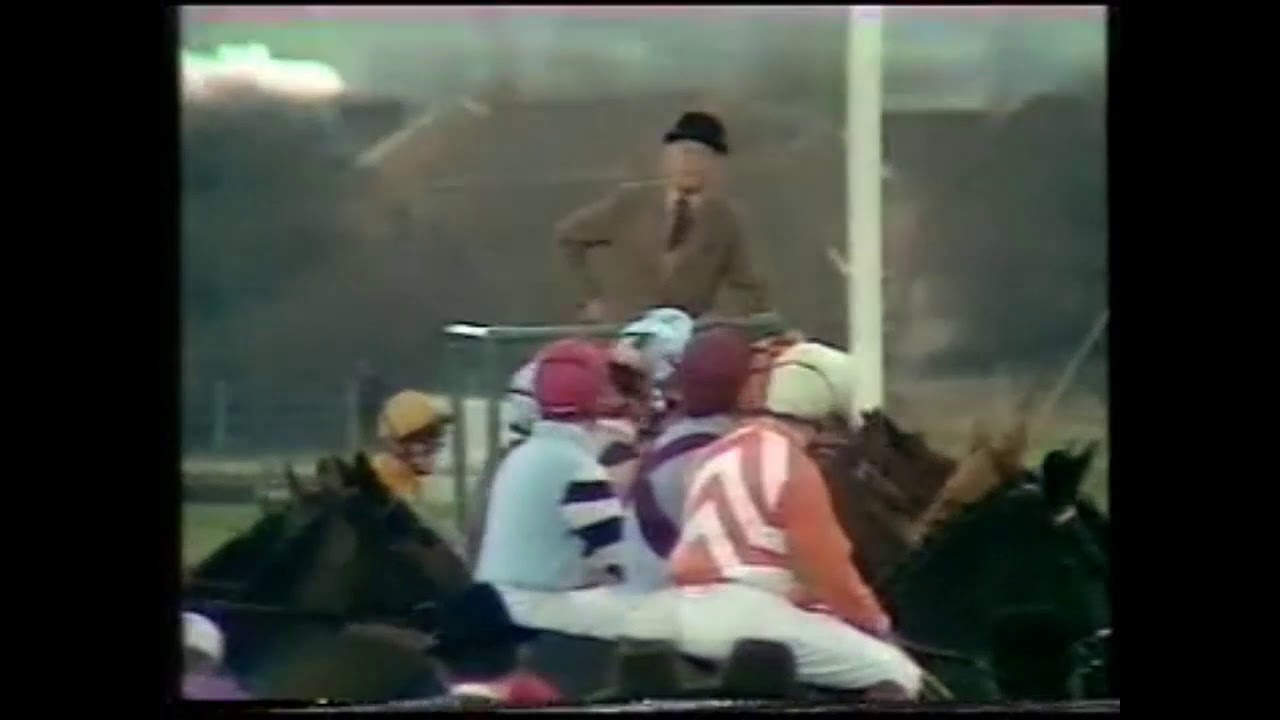 1981 Ritz Club Handicap Chase Cheltenham Extended