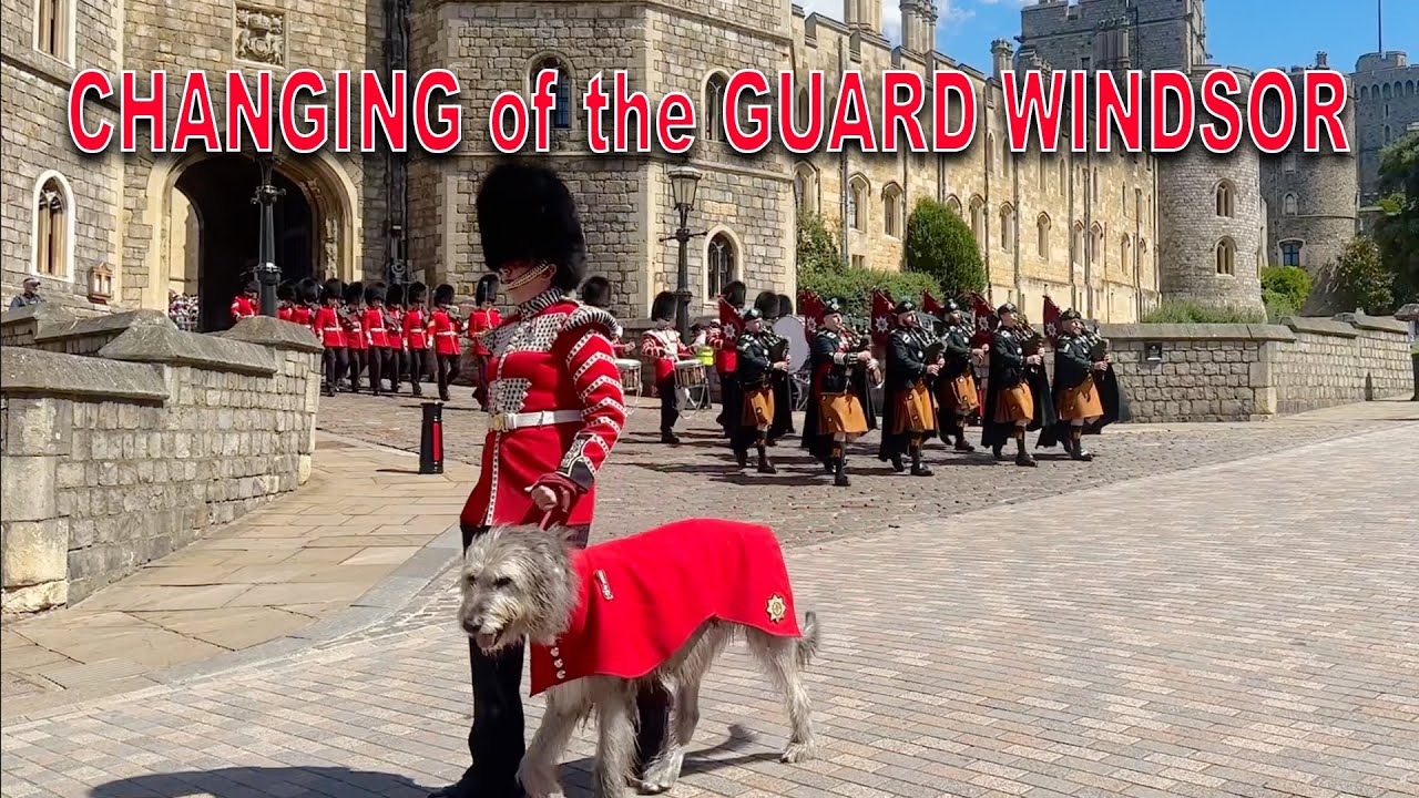 WINDSOR CASTLE GUARD Seamus the Irish Wolfhound leads the Number 12 Company Irish Guards NEW