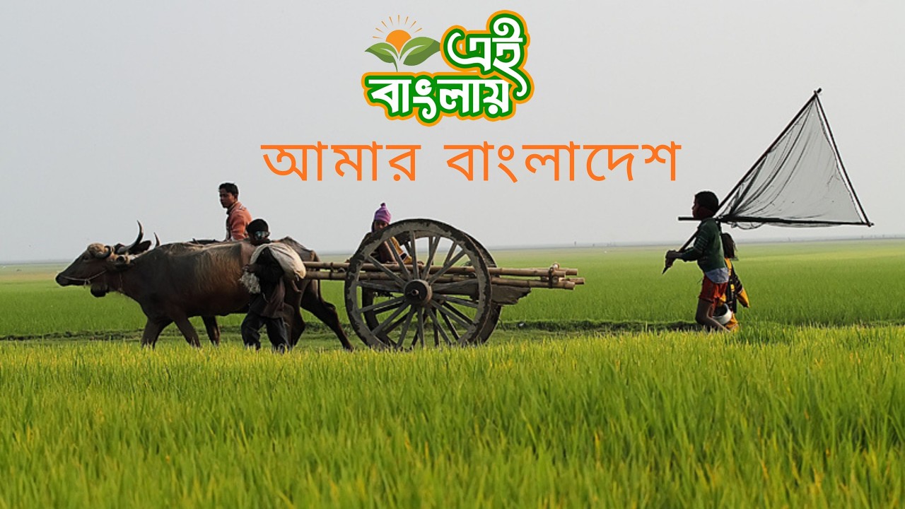 Amar Bangladesh || আমার বাংলাদেশ