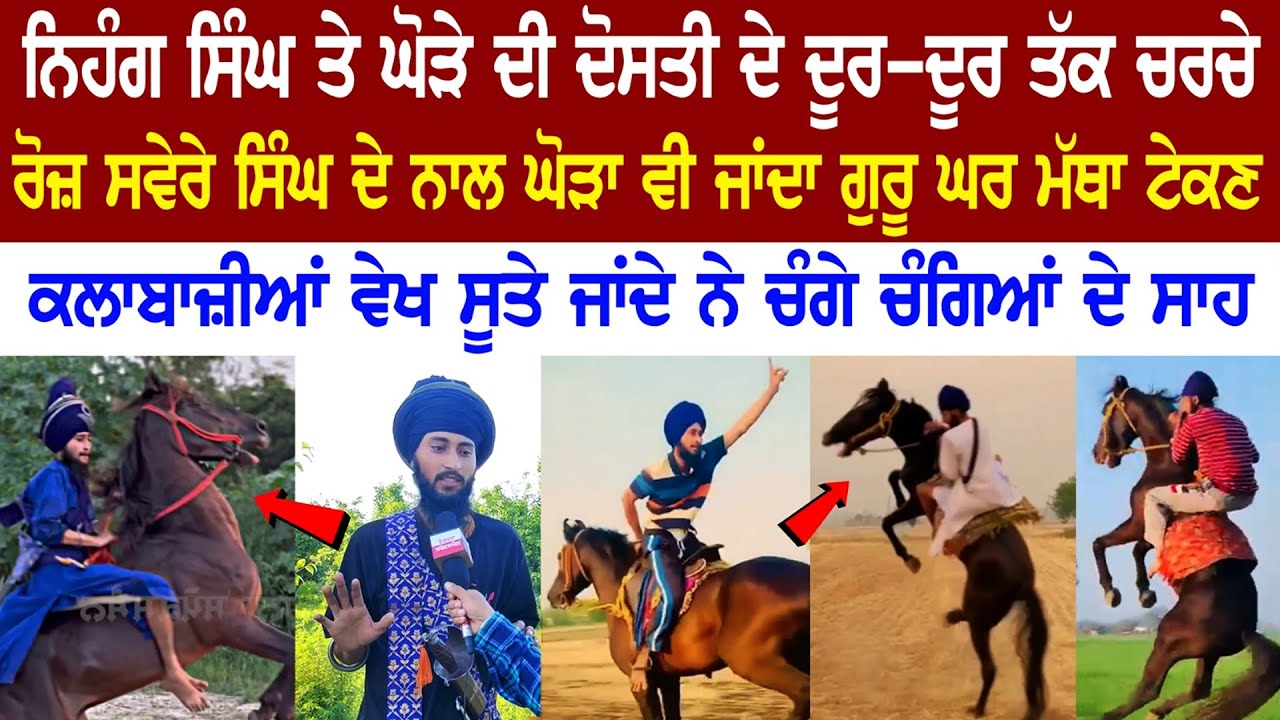 Nihang Singh ਤੇ Horse ਦੀ ਦੋਸਤੀ ਦੇ ਦੂਰ-ਦੂਰ ਤੱਕ ਚਰਚੇ - Every Morning ਦੇ ਨਾਲ Horse ਵੀ ਜਾਂਦਾ Guru Ghar