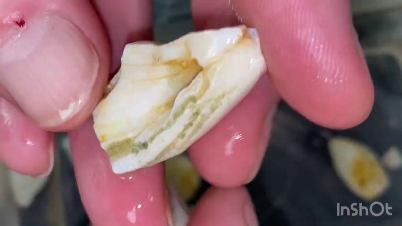 Opal cutting: a few opal fossils: making  the most, inlaying opal with opal.