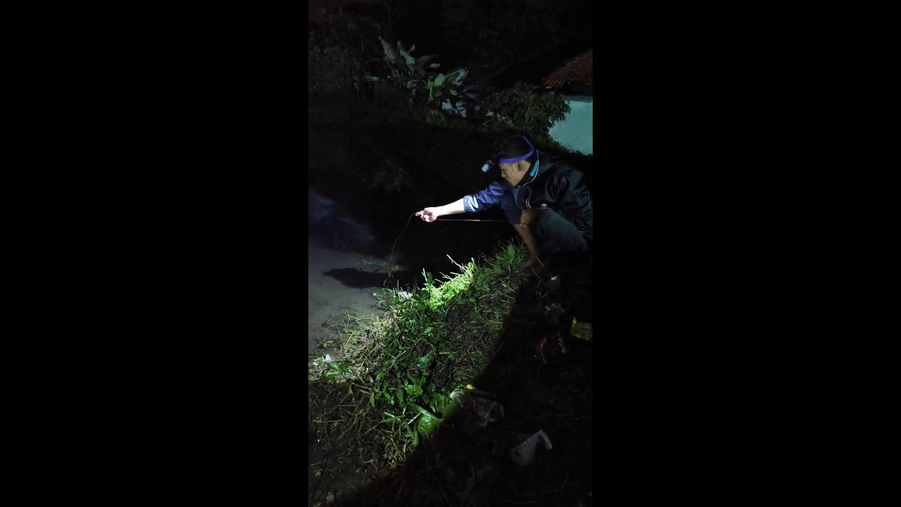 MANCING BELUT GARUT ( MBG )'s broadcast