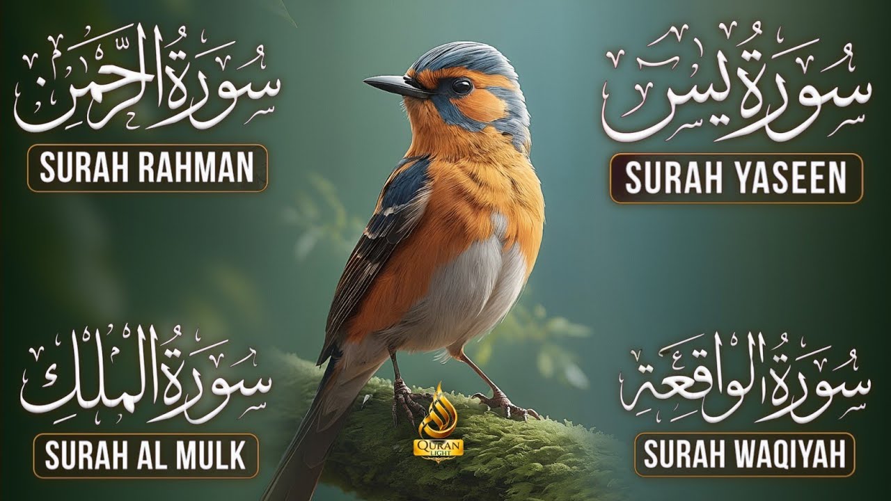Surah Yasin | Surah Rahman | Surah Waqia | Surah Mulk | Full HD | Quran Hour | Alaa Aqel